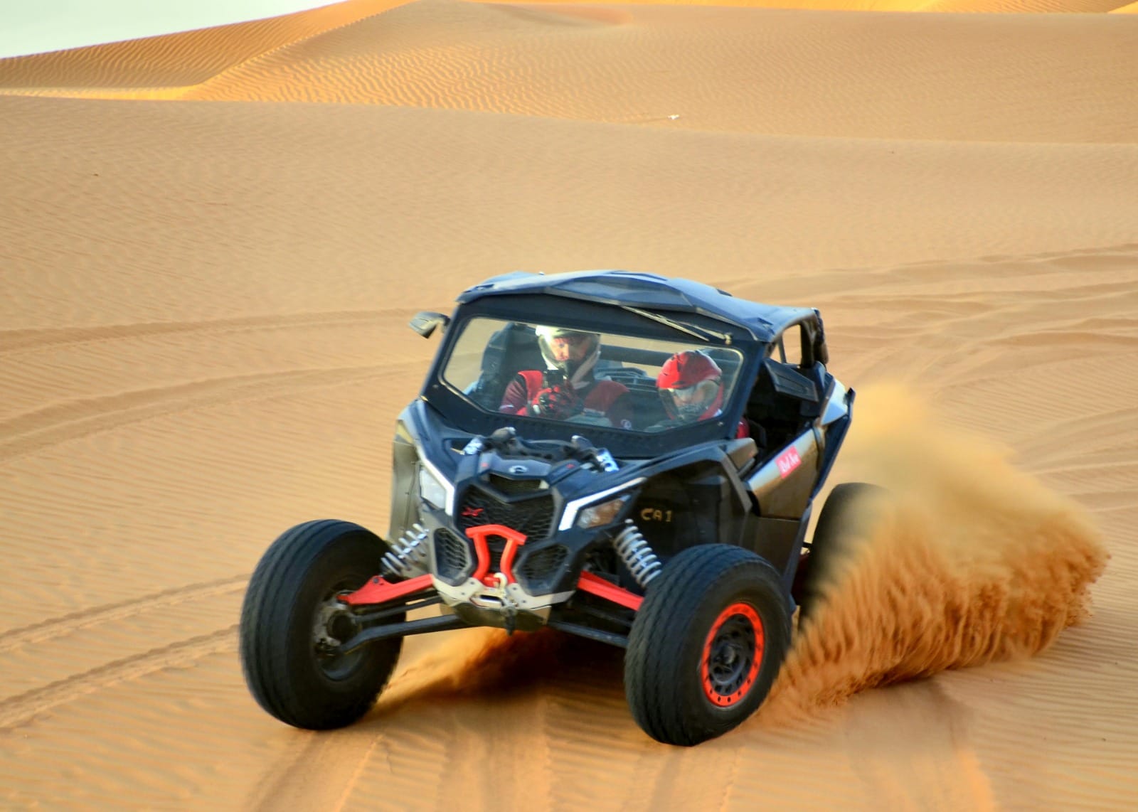 Buggy_Image